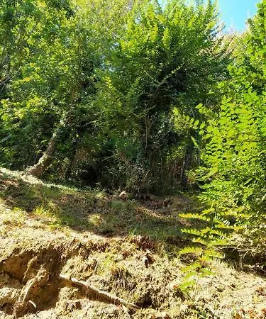 호텔 Ristorante Miramare