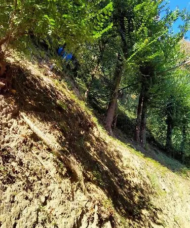 Hotel Ristorante Miramare Pesaro